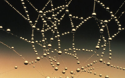 La Web 3 o la descentralización de la red